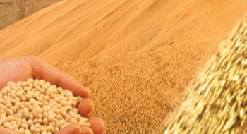 Goiás tem o 52º mês de superávit da balança comercial: US$ 479,5 milhões